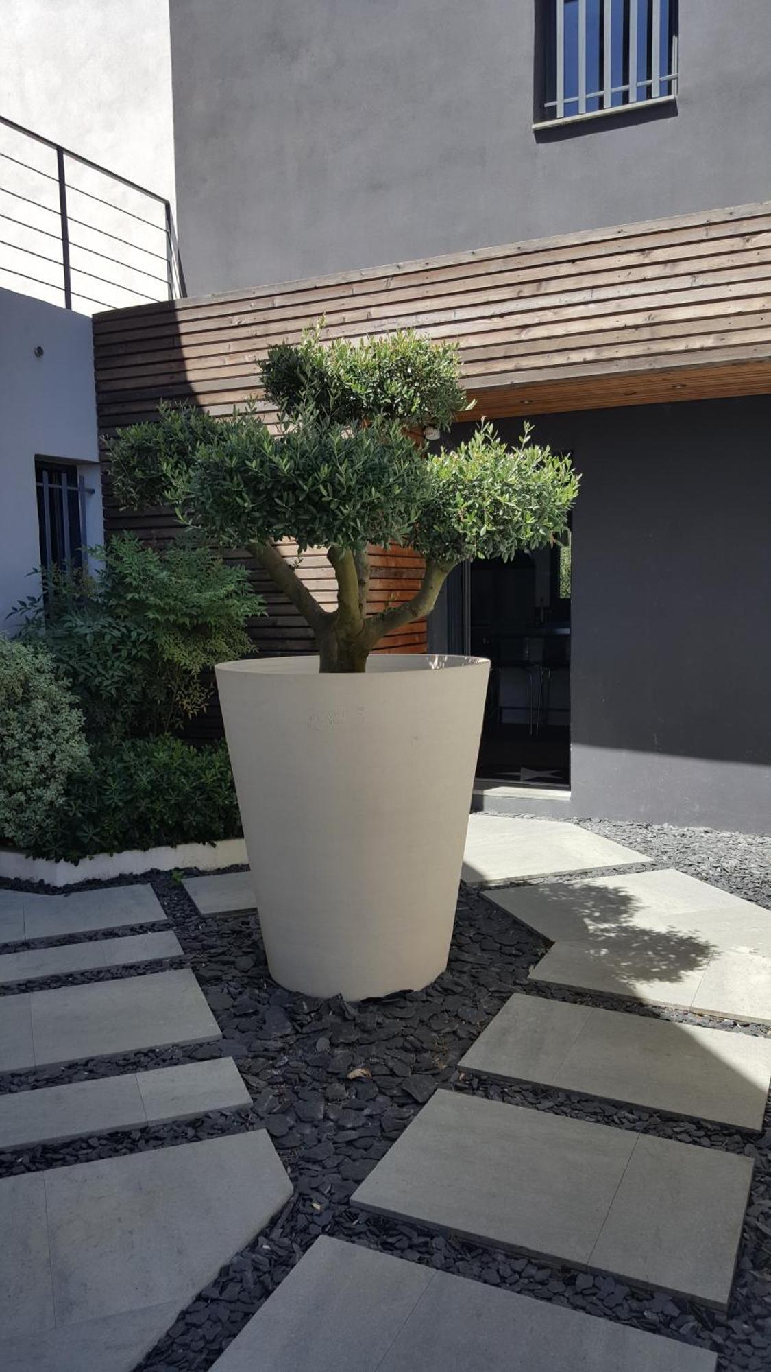 Villa Montpellier Exteriér fotografie